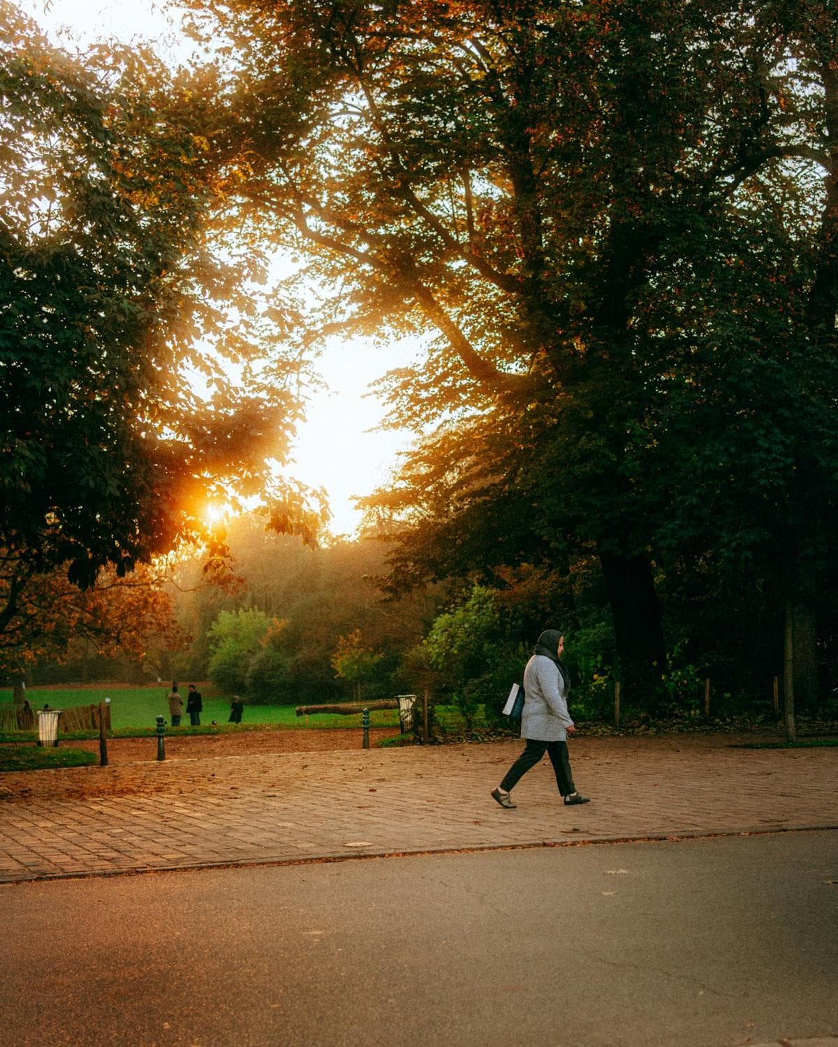 Someone walking through a park at sunset.